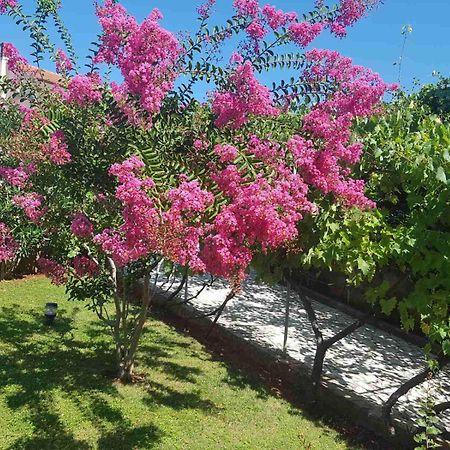 Apartments Mira Krk كرك المظهر الخارجي الصورة