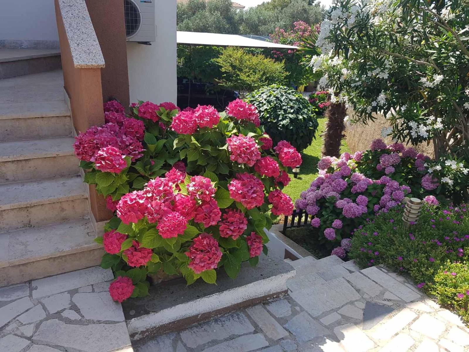 Apartments Mira Krk كرك المظهر الخارجي الصورة